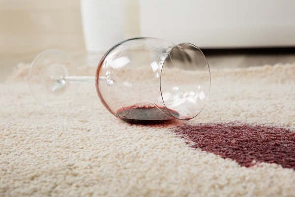 Carpet Cleaner Rental 