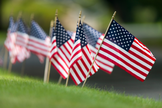 Small American Flags