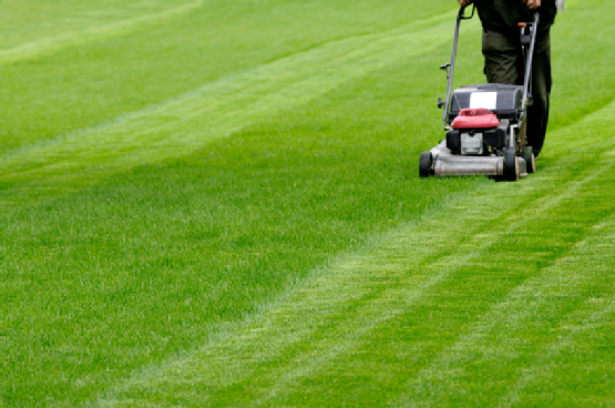 Mowing the lawn