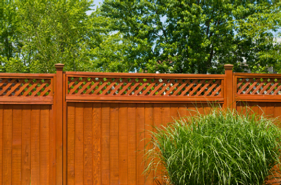 Wooden fence