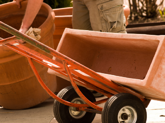 Planting pot