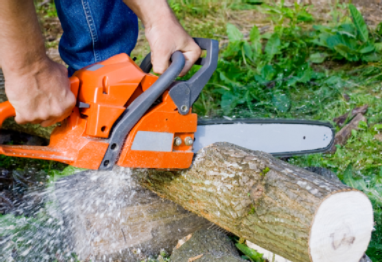 Man with chainsaw