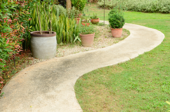 pathway in the garden