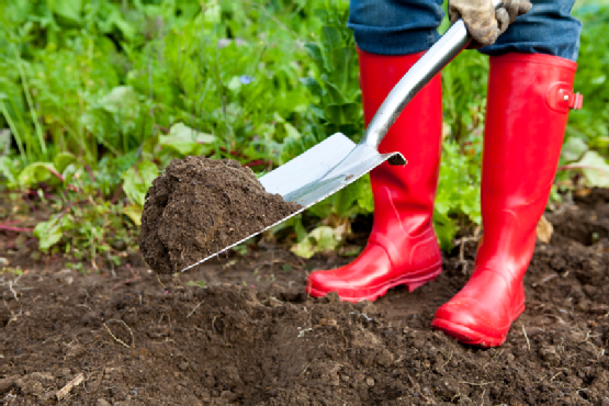 garden rental tools