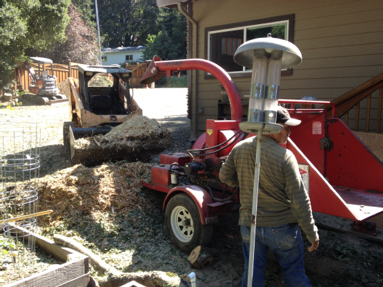 Branch chipper and skid steer loader in action