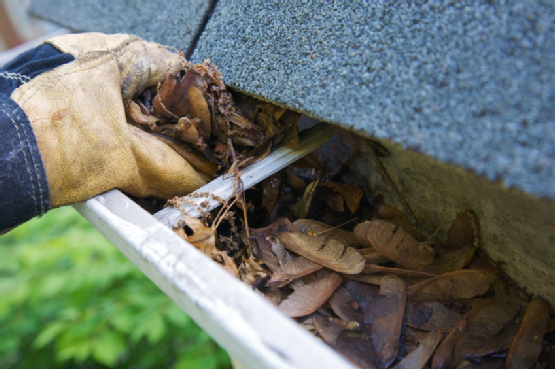 Fall Cleanup - Leaves in Gutter (XL)