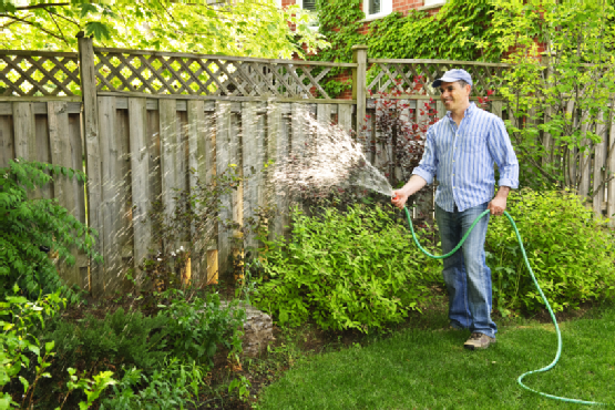 Man watering garden