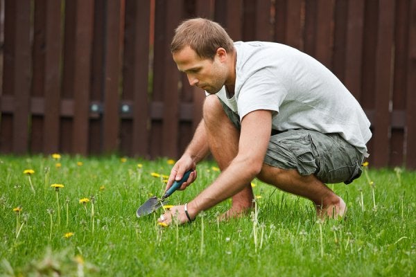 Lawn Care San Jose